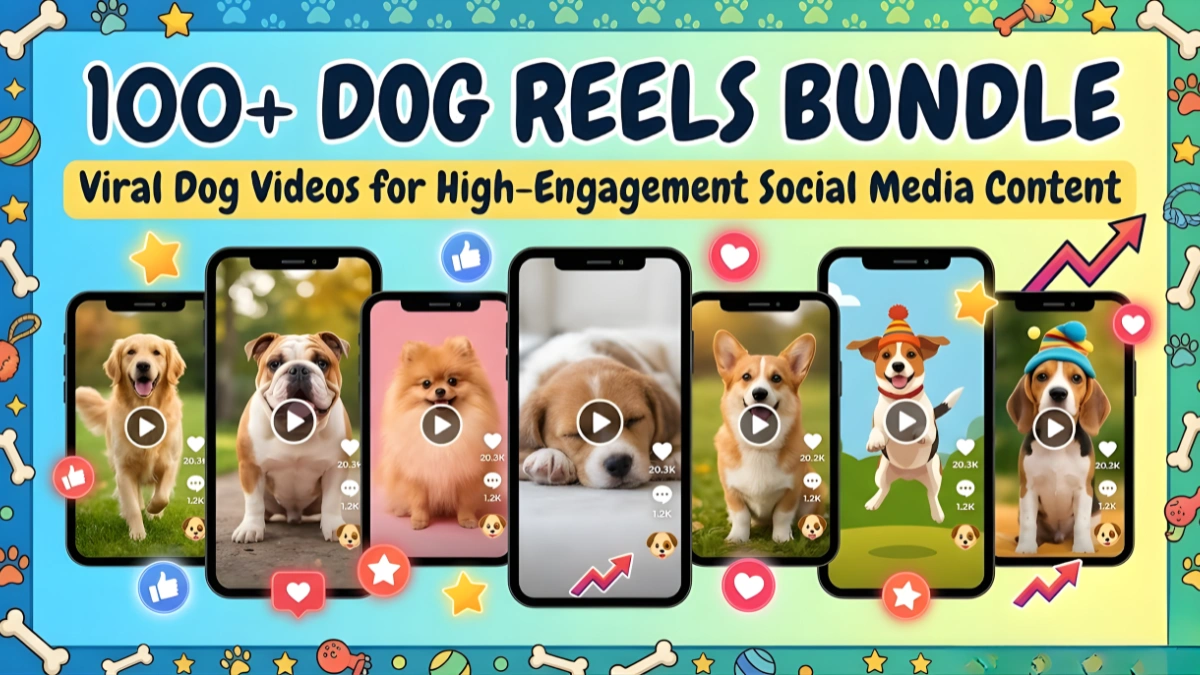 Dog Reels Bundle